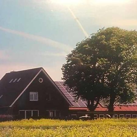 Apartament Higgen Adamla Stedesdorf Zewnętrze zdjęcie