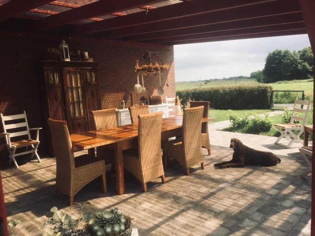 Apartament Higgen Adamla Stedesdorf Zewnętrze zdjęcie